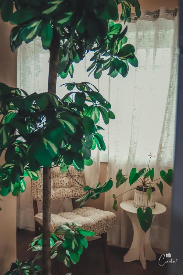 Pousada Villa Vecchia 카넬라 외부 사진